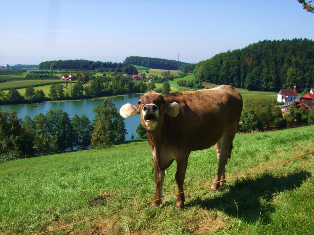 Ferienwohnung Heimatliebe Waltenhofen Luaran gambar
